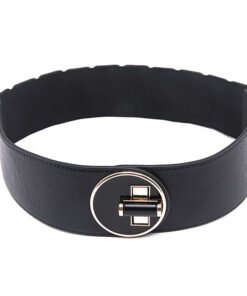 Wide Elastic Waist Belt with Interlocking Buckle for Women